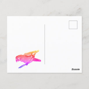 Carte Postale Joyeux perroquet