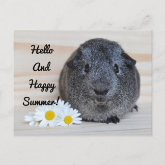 Carte Postale Joyeux porc de Guinée d'été