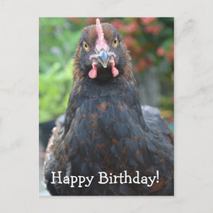 Carte Postale Joyeux poulet d'anniversaire... Voiture postale Pa