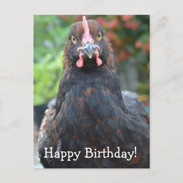 Carte Postale Joyeux poulet d'anniversaire... Voiture postale Pa (Devant)