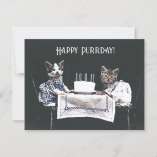 Carte Postale Joyeux Purrday Mignons Chats Anniversaire Vintage