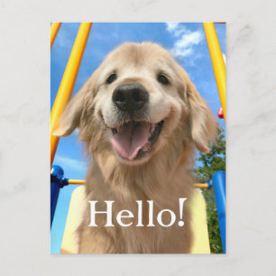 Carte Postale Joyeux Smiling Golden Retriever