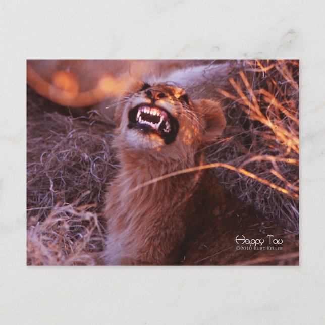 Carte Postale Joyeux Tau, Lion Cub souriant (Devant)