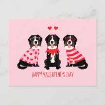 Joyeux Valentin Chiens de montagne bernois