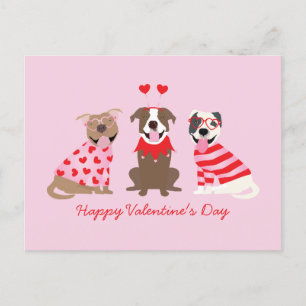 Carte Postale Joyeux Valentines Day American Pit Bull Terriers