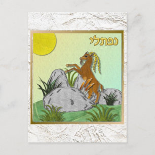 Carte Postale Judaica 12 Tribus d'Israël Nephthali