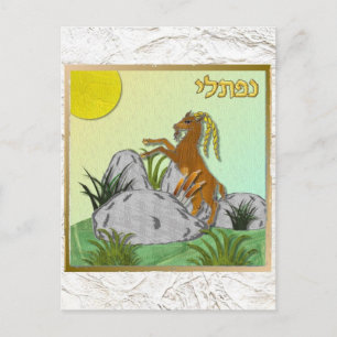 Carte Postale Judaica 12 Tribus Israël Nephtali