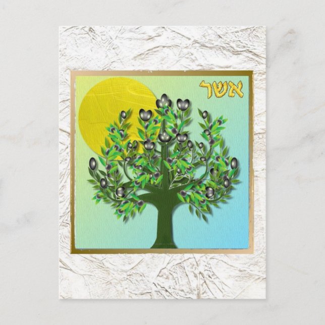 Carte Postale Judée 12 tribus Israël Asher (Devant)