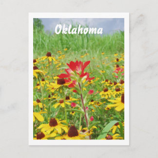 Carte Postale juillet2007 pintade indienne, Oklahoma