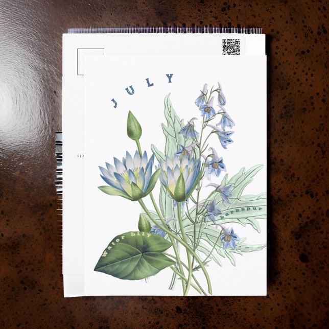 Carte Postale Juillet Mois Fleurs Larkspur et Lys d'eau | (Créateur téléchargé)