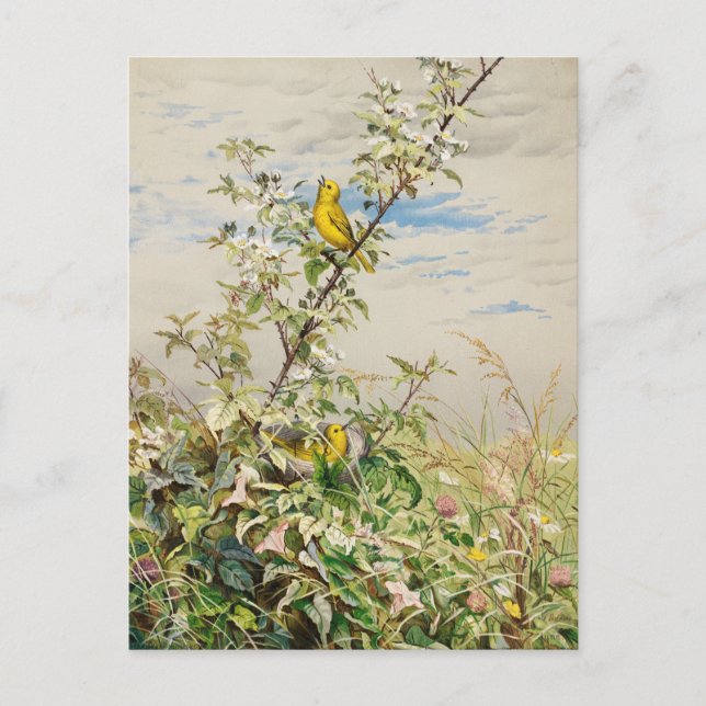 Carte Postale Juin | Fidelia Bridges (Devant)