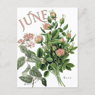 Carte Postale Juin Mois Fleurs Honeysuckle Rose fantaisie