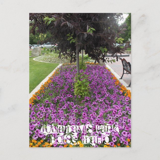 Carte Postale Julia Davis Park à Boise, Idaho (Devant)