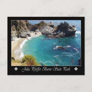 Carte Postale Julia Pfeiffer Burns State Park, Californie