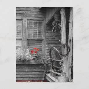 Carte Postale Juliette Georgia Ancienne maison