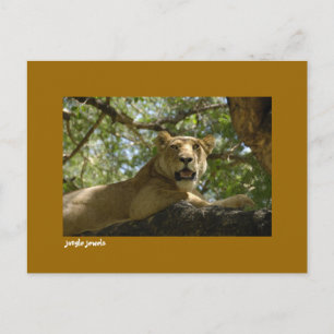 Carte postale Jungle Jewels