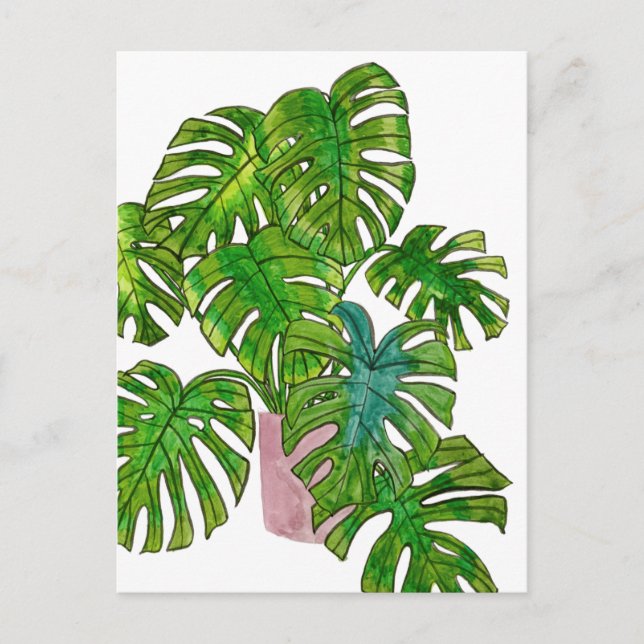 Carte Postale Jungle pointillée I (Devant)