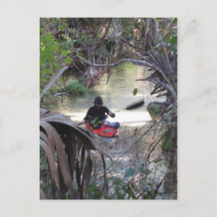 Carte Postale Juniper Springs, Fl