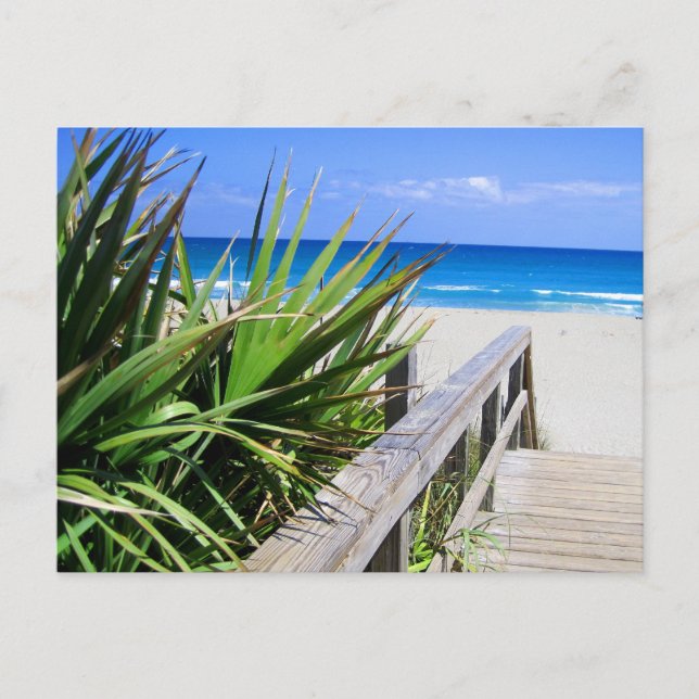 Carte Postale Juno Beach Floride (Devant)