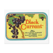Jus de currant noir Berries foncées Art Étiquette 