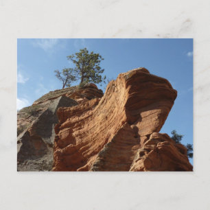 Carte Postale Jusqu'à Angels Landing dans le parc national de Si