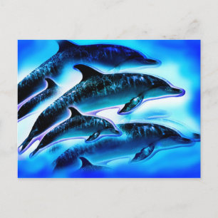 Carte Postale Juste des dauphins