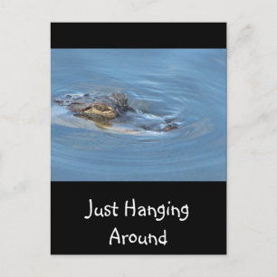 Carte Postale Juste en train de se pendre