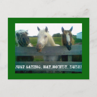 Carte Postale Juste pour dire, hey, salut, mec !