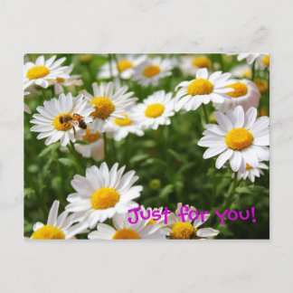 Carte Postale Juste pour vous pastcard