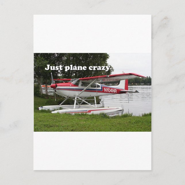 Carte Postale Juste un avion fou : Avion flotteur Cessna, Alaska (Devant)