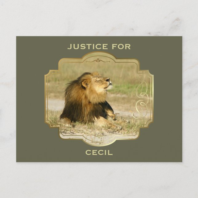 Carte Postale Justice pour Cecil le lion tué en Afrique (Devant)