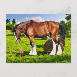 Carte postale "Justin & a Friend"