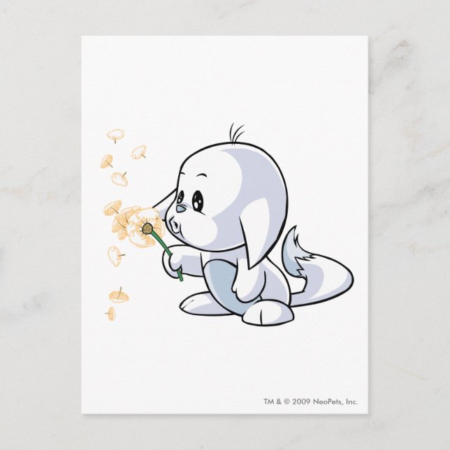 Carte Postale Kacheek White (Devant)