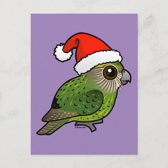 Carte Postale Kakapo Claus (Devant)
