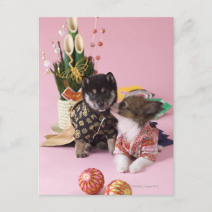 Carte Postale Kanagawa, Honshu, Japon