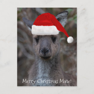 Carte Postale Kangaroo Visage Père Noël Joyeux Noël Mate