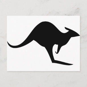 Carte Postale kangourou australien noir - australie