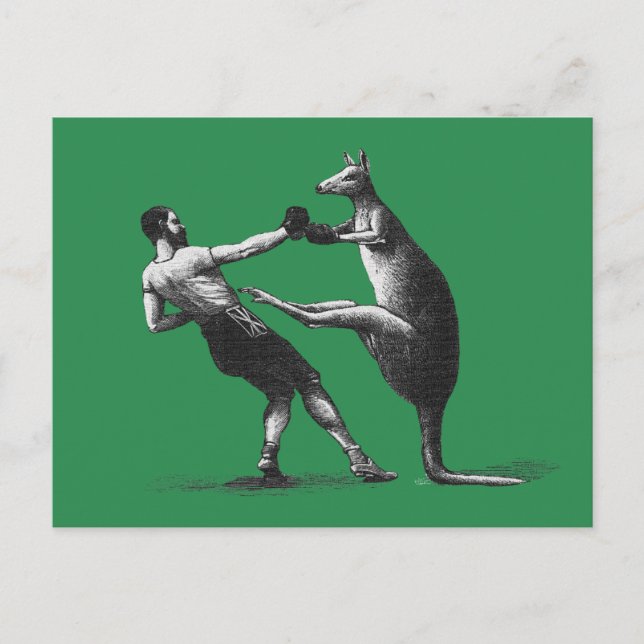 Carte postale kangourou vintage Boxe (Devant)