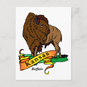 Carte Postale Kansas Buffalo