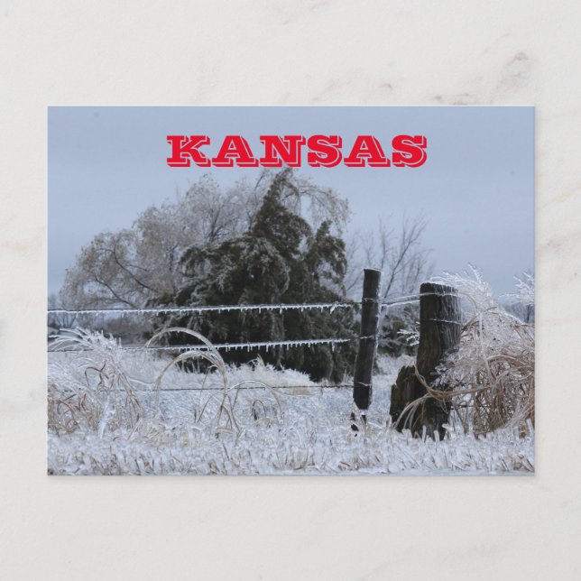 Carte postale Kansas Icy Fence (Devant)