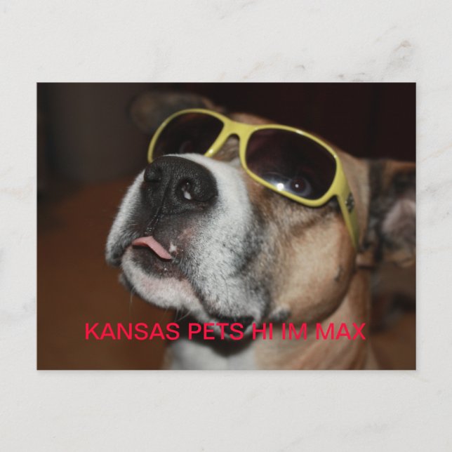 CARTE POSTALE KANSAS PETITS IM MAX (Devant)