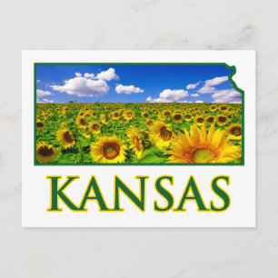 Carte Postale Kansas Sunflower Sky