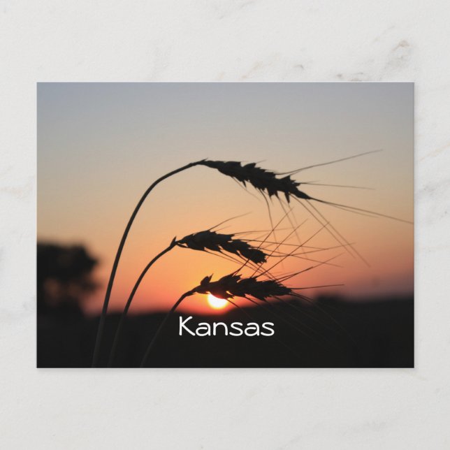 Carte postale Kansas Sunset (Devant)