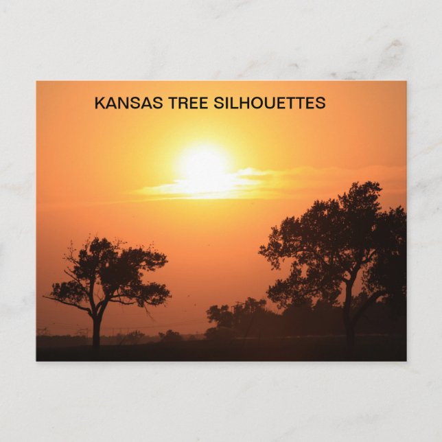 CARTE POSTALE KANSAS TREE SILHOUETTES (Devant)