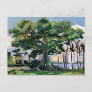 Carte postale Kapok Tree