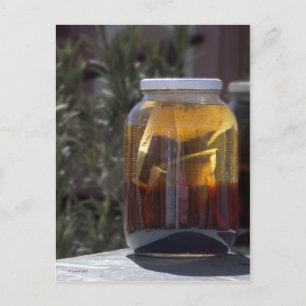 Carte Postale Kathy's Kosmic Kowgirl Tea