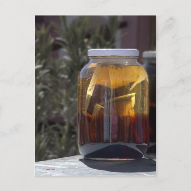 Carte Postale Kathy's Kosmic Kowgirl Tea (Devant)