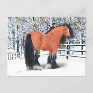 Carte Postale Katie Scarlett