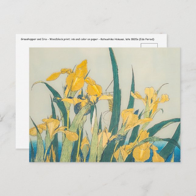 Carte Postale Katsushika Hokusai - Grasshopper et Iris (Devant / Derrière)