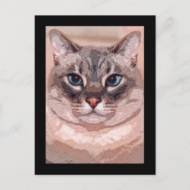 Carte Postale Katz (Devant)